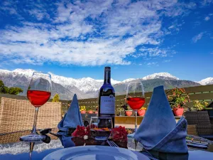 無限茶園度假村