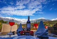 Infinitea Tea Garden Resort Hotels in Palampur
