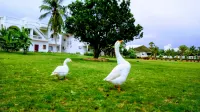Sai Priya Beach Resorts - 沙灘