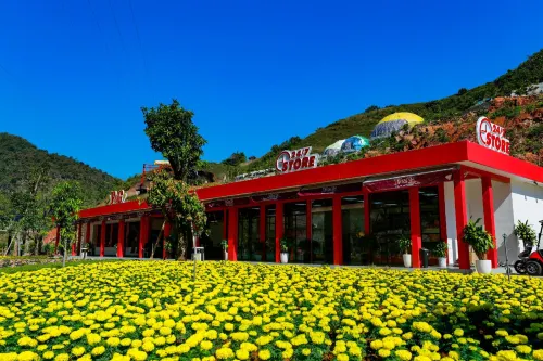 Moc Chau Island - Bach Long Glass Bridge Hotels in Mộc Châu District