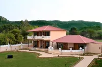 Ranthambhore Pride