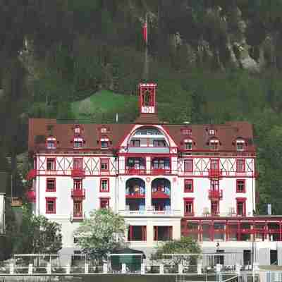 Hotel Vitznauerhof - Lifestyle Hideaway at Lake Lucerne Hotel Exterior
