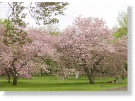 Citytel Musashisakai Отели рядом со станцией Ж/д станция Идзу (Izu)