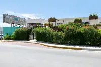 Mayan Monkey Cancun - Social Hotel Hotels in Benito Juarez