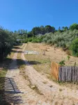 Quinta O Pinheiro - Paradise at the gates of Coimbra