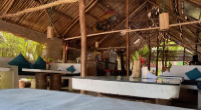 翡翠壁虎度假村-哈夫洛克島