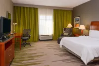 Hilton Garden Inn Yuma Pivot Point Hotels in Yuma