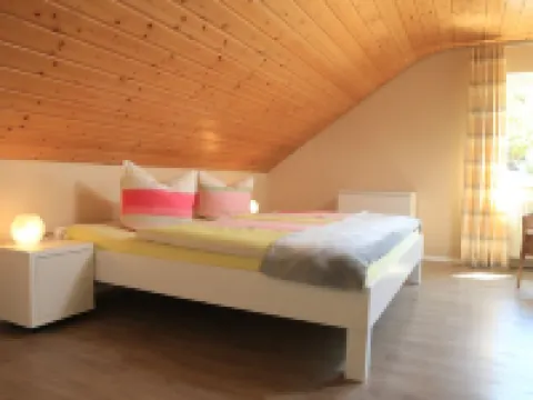 Beautiful top floor apartment surrounded by vineyards Hoteles en Offenburg