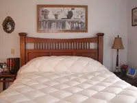 Beautiful Gardens, Outdoor Shower, Hot Tub, Steam Sauna, Cold plunge pool.