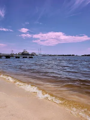 HotTub/Fish/RIVER FRONT/DOGS/SUMMER POOL.RIGHT BY GULF AND BEACHES. BRING BOAT! Hotels in Gautier