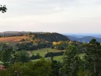 Bowerbird Cottage Studio Apartment -  Binna Burra Bushwalks & Tea House nearby Ξενοδοχεία στην πόλη Beechmont