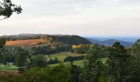 Bowerbird Cottage Studio Apartment -  Binna Burra Bushwalks & Tea House nearby