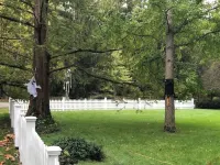 Fox Knoll 1-Beautiful Setting! Indy 500! Grand Park, Concerts, LRG private room-