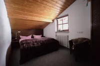 Family apartment in a fantastic location right on the trail Hotels near Weitsee