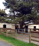 Buy 2 Get 3rd Night Free Nov 2025- March 2026 Oceanfront Home with Beach Access!