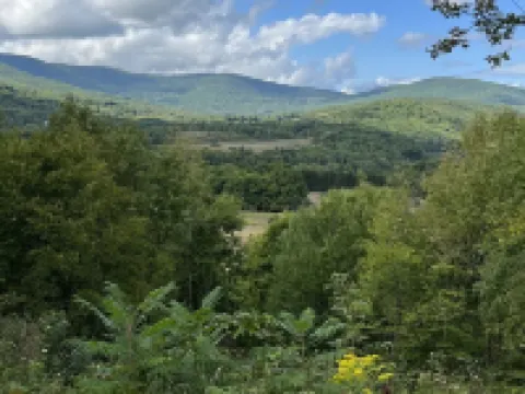 Roxbury Private 3Br w/ Fire-Pit, Sweeping Mt Views- 5 Wooded Acres. Near Skiing! Hotels in Roxbury