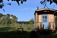 Autarker Schäferwagen mit Kamin Ganzjährig Nutzbar