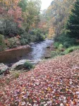 Steps to Shooting Creek. Free   2 Bedrooms and Game Room if Booked  by OCT 1st