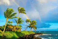 Boutique Condo with Contemporary Art: Steps from Scenic Poipu Beach Trail.