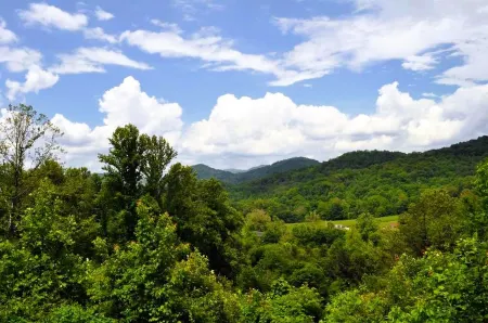 Deer Country Vacation Cabins #3 - Long Range View, Dogs Friendly