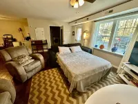 Mins to Asheville. Studio w/Fire pit. Pet Friendly, Washer and Dryer