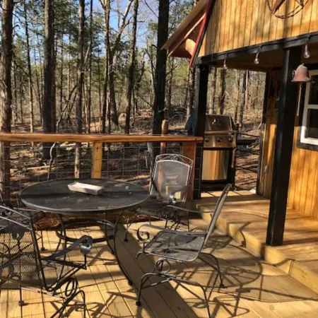 Deadwood Acres cabin #2