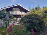 Hoh Chalet A cozy cabin on the Olympic Peninsula Hotels near Hoh Rain Forest