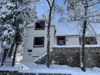 Lake Arrowhead-Immaculate home, spacious lot, can't get closer to the Village!