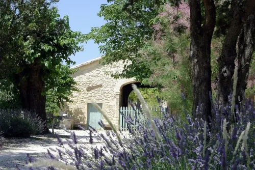 Uzès superb, comfortable gîte with swimming pool 700m from town center: Hotels in Uzes