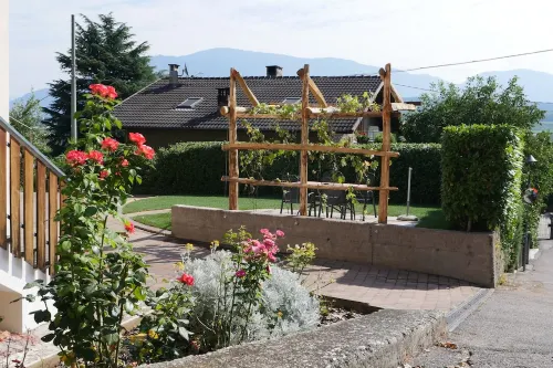 Cozy apartment Vinea