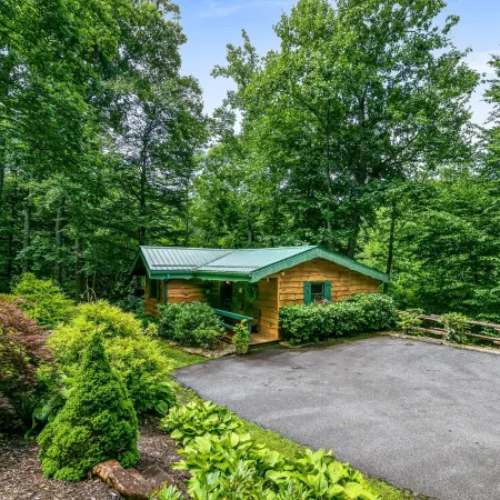 PRIVATE MOUNTAIN COUPLES GETAWAY. 16 MI TO ASHEVILLE. CREEK, HOT TUB, FIREPLACE