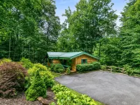 PRIVATE MOUNTAIN COUPLES GETAWAY. 16 MI TO ASHEVILLE. CREEK, HOT TUB, FIREPLACE