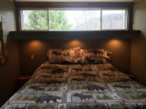 Beautiful Home on Pine Creek Backs up to Lyman Run State Park & the PA Wilds!!!!