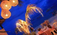 Palms Cove Resort Hotels in Panglao