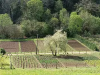 Village house CA 1595 AS recently renovated. Unique, quiet and natural environment. Hotels in Ribadesella