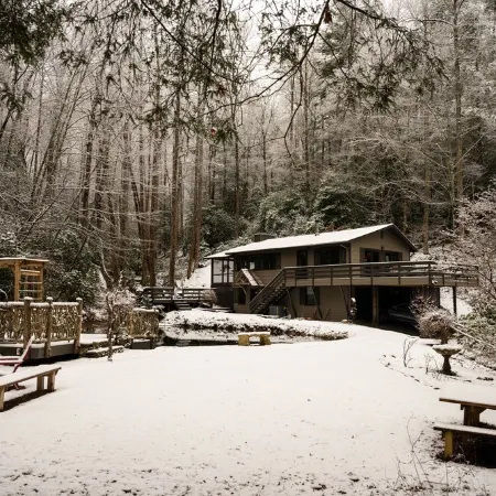 Mountain Creek Cabin VERY private 13 acres with trails, creeks. Bordering USNF!