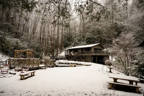 Mountain Creek Cabin VERY private 13 acres with trails, creeks. Bordering USNF!
