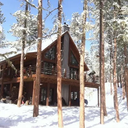 ShadyPines Cabin In The Black Hills w/Hot Tub & Centrally Located to Attractions