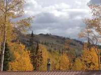 Mountain Cabin Perfect for Families!