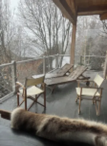 Large chalet 12 people