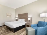 베스트 웨스턴 오브 와이즈 와이즈 호텔