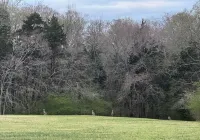 Campsite in Lowndesville SC