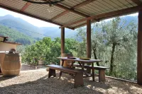 Il Frantoio - Tuscan Loft between Nature and Relaxation, Private Garden & BBQ Hotels in Reggello