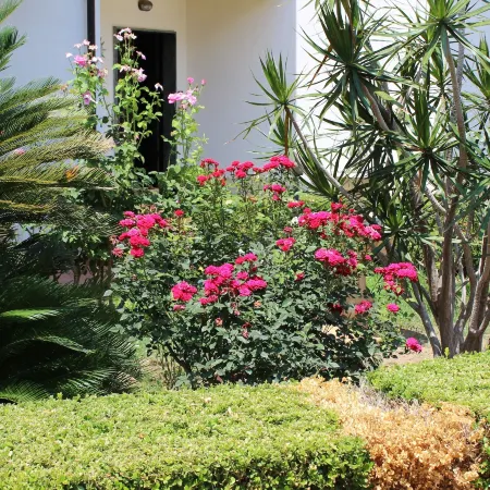 B&B Il Cavaliere Tropea