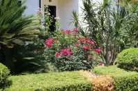 B&B Il Cavaliere Tropea