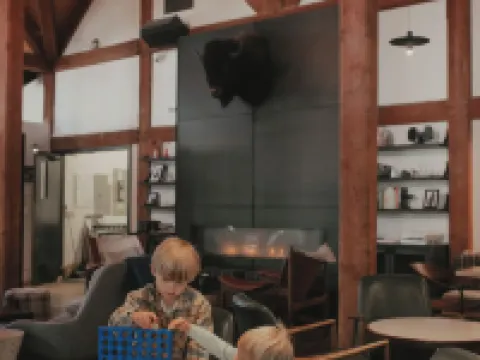 バッファロー マウンテン ロッジ バンフのホテル