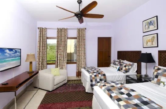 Artimino by Island Properties Online