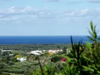在Agia Triada的寧靜假日別墅，帶有游泳池