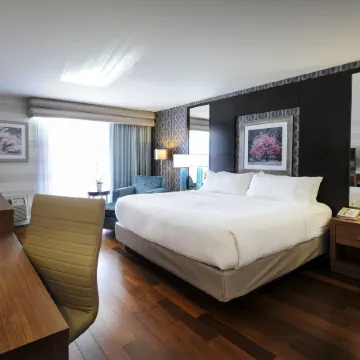 Holiday Inn NIAGARA FALLS - BY THE FALLS by IHG