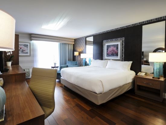 Holiday Inn NIAGARA FALLS - BY THE FALLS by IHG